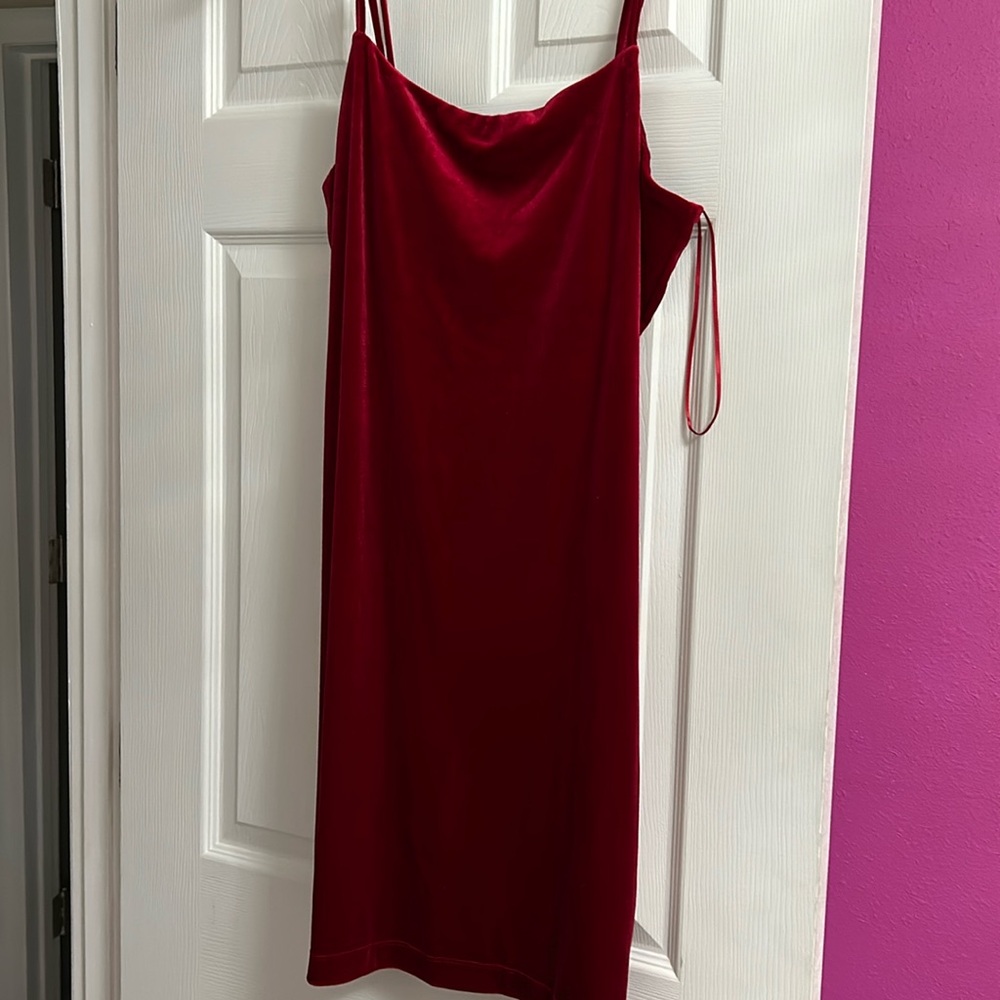 Velvet Gianni Bini Dress